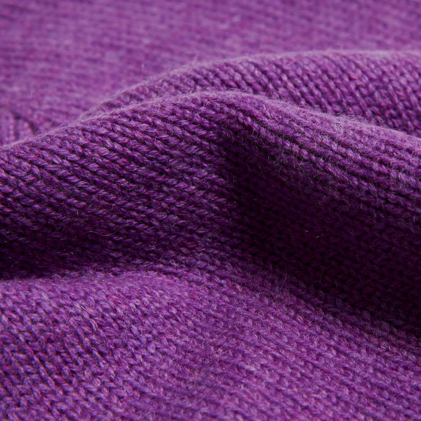 Beanie Iris